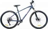 Купить велосипед Spirit Fitness Echo 9.4 29 2021 frame XL: цена от 23371 грн.